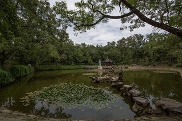 栖霞寺_0009-12