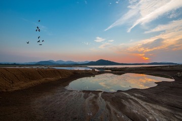 云湖鸟-2