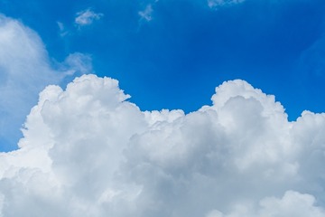 1000221876