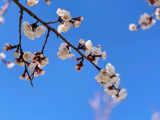 50AB9238-7992-4D6C-9A15-C126FF34BBD6/L0/001