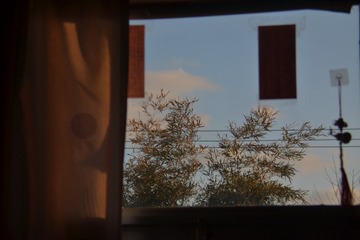 A0F0E29E-C230-41E4-8832-204207C244A7/L0/001