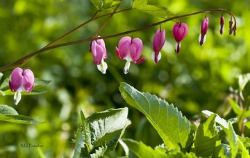 IMG_8419.jpg