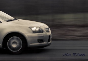 IMG_2930.jpg