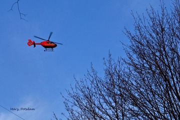 IMG_3965.jpg