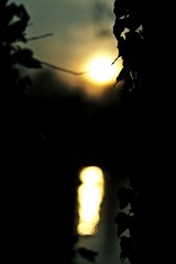 IMG_4011.jpg