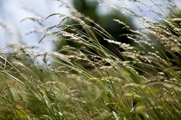 IMG_1444.jpg