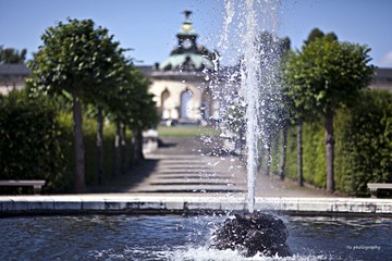IMG_2101.jpg