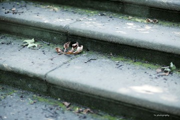 IMG_2213.jpg