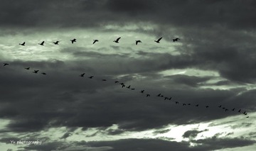 IMG_2725.jpg