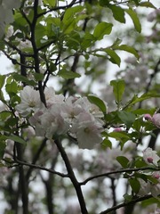 DC25D280-5676-4C43-B7ED-E3216141D8F3/L0/001
