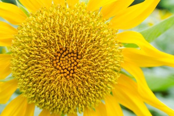 20120520-DSC_9843.jpg