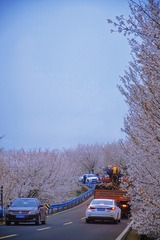 A65C6FB3-285E-4BA8-BB33-A0096008FC64/L0/001