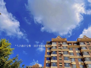 532FDF6A-2188-4DBB-A2B5-9B00512E767D/L0/001