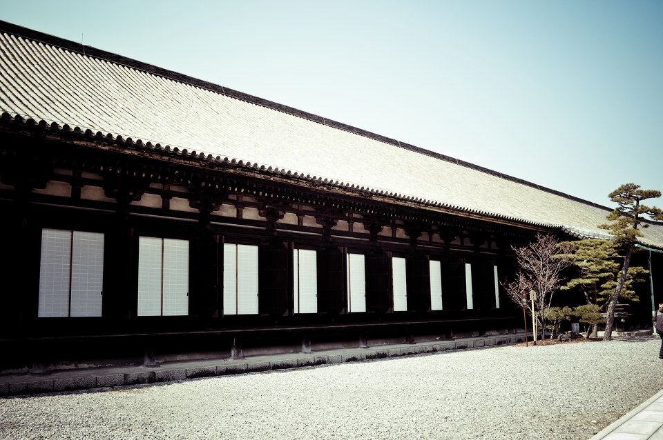 20120327-DSC_0029<br />
