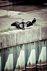 20120329-DSC_0207.jpg