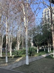 B650CA21-54CA-42D9-80E8-665800225231/L0/001