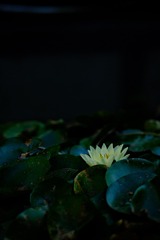 F1B2620A-A5A8-43E8-BB65-31E77FF8A41B/L0/001
