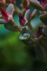 IMG_2529