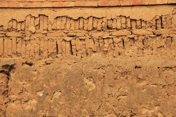 _MG_4356.JPG