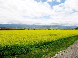 IMG_1671.JPG