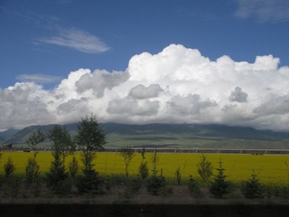 IMG_1736.JPG