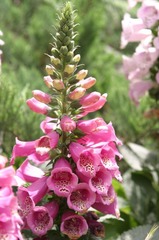 Al_00117.JPG