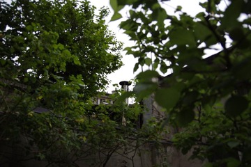 _IGP0442.JPG