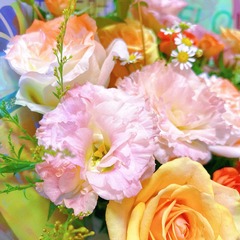 7685C2DF-93D2-4DDF-AE29-54855FA6DB70/L0/001