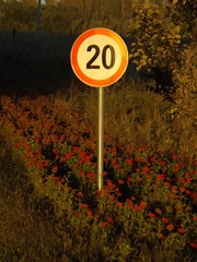 266829