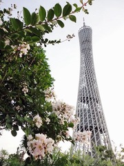 DSC03028Ａ.jpg