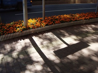 DSC07904 副本.jpg