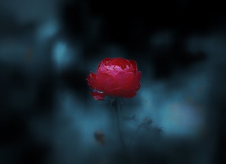 5689C4EA-79A1-47B2-B85F-D64CDE6237B4/L0/001