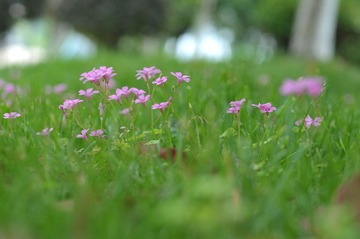 DSC_5224.jpeg