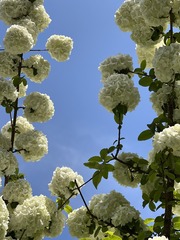 BB954284-B4B2-40A8-AC4B-A35356FC5C6F/L0/001