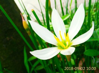 992961