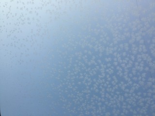 8F98031B-C763-408F-B61B-5665E4126D92/L0/001