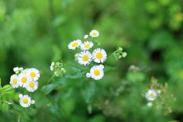 IMG_3159.JPG