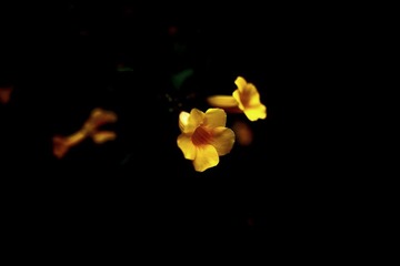 DPP_0007.JPG