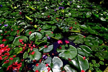 DPP_042101.JPG