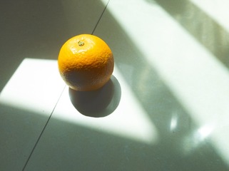 66591