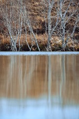 DSC_0498.jpg