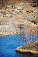 DSC_0518.jpg