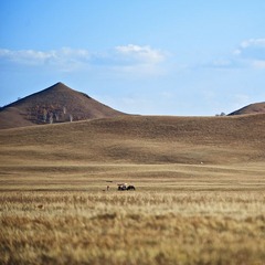 DSC_0633.jpg
