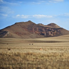 DSC_0635.jpg