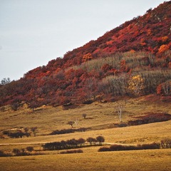 DSC_0916.jpg