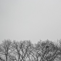小景