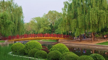 DSC_7969.JPG