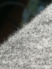 2875886