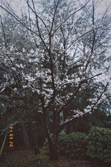 D823B21A-AB2E-4EBD-B463-D178B978458A/L0/001