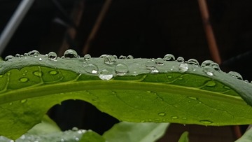 1000030213